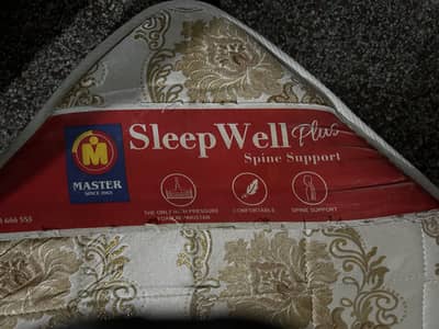 Master MoltyFoam (Molty Foam) Sleep Well Plus, King Sized Mattress