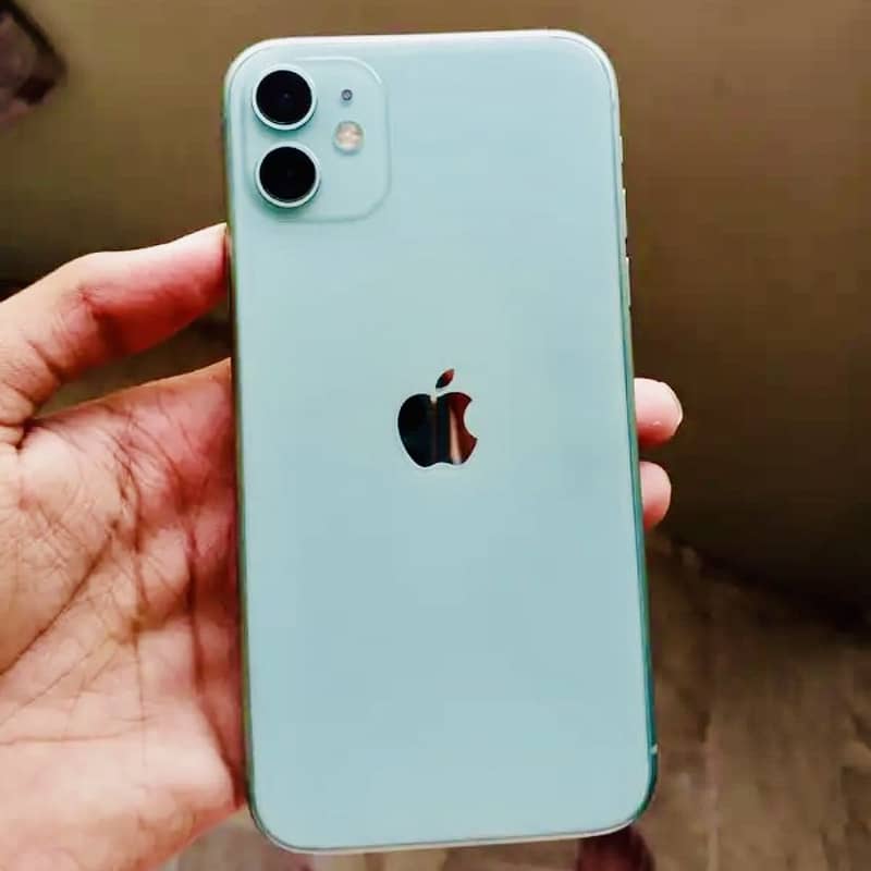 Apple iPhone 11 0