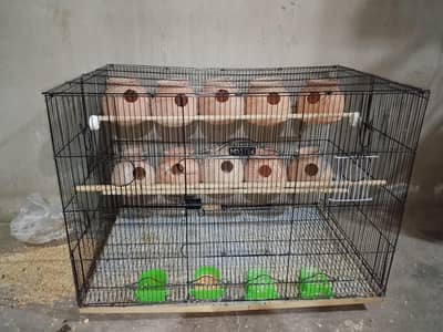 colony cage