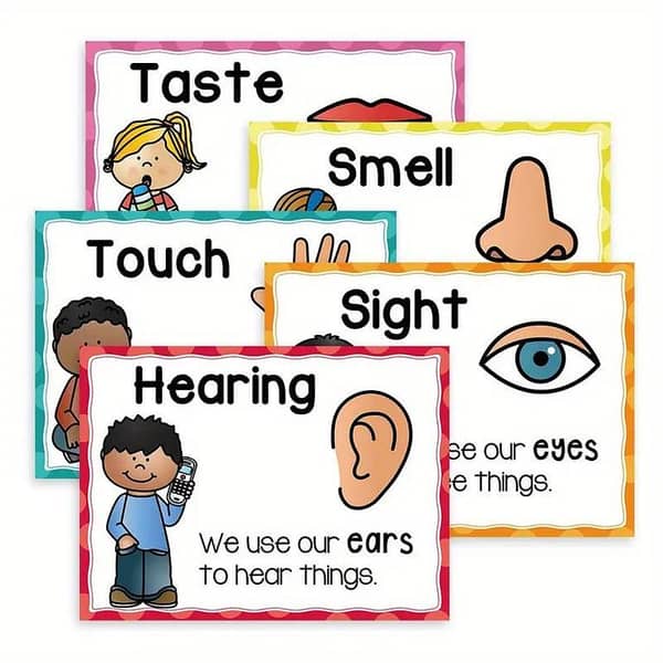 5pcs Bundle Five Senses Flashcards Posters Classroom Educational Learning Posters Decor & Homeschool Supplies Educational Learning Posters for Youngsters | Teacher Organization + Sensory Activity Kit, Perfect for Room Decor