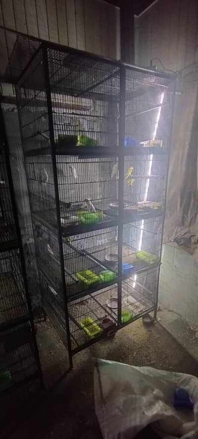 8 portion cage