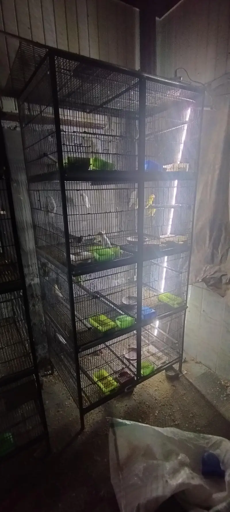8 portion cage