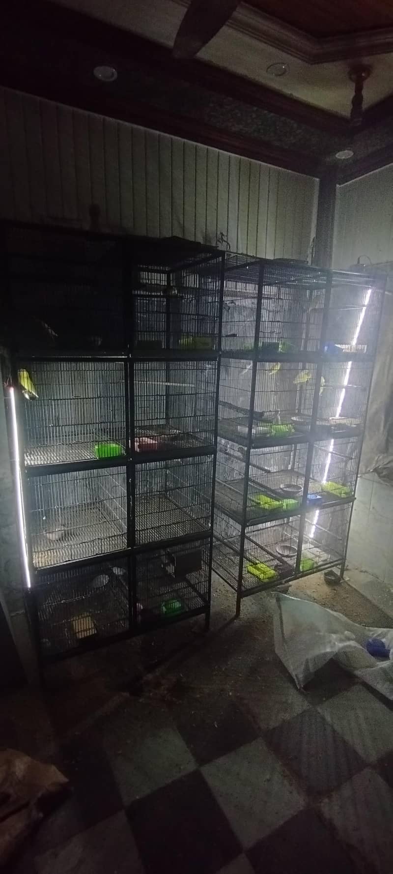 8 portion cage 1