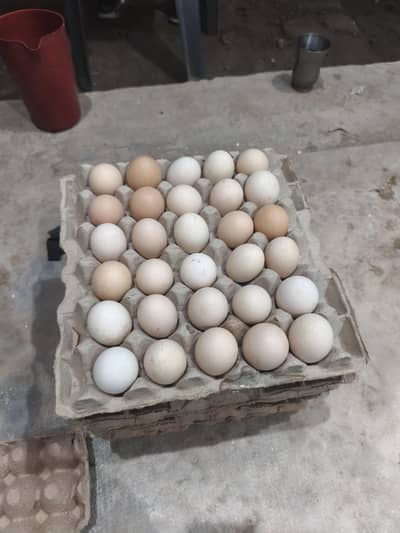 Golden desi eggs