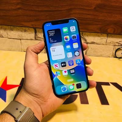 Apple iPhone 12 pta all genuine