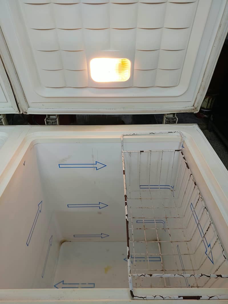 waves Triplett deep freezer 1
