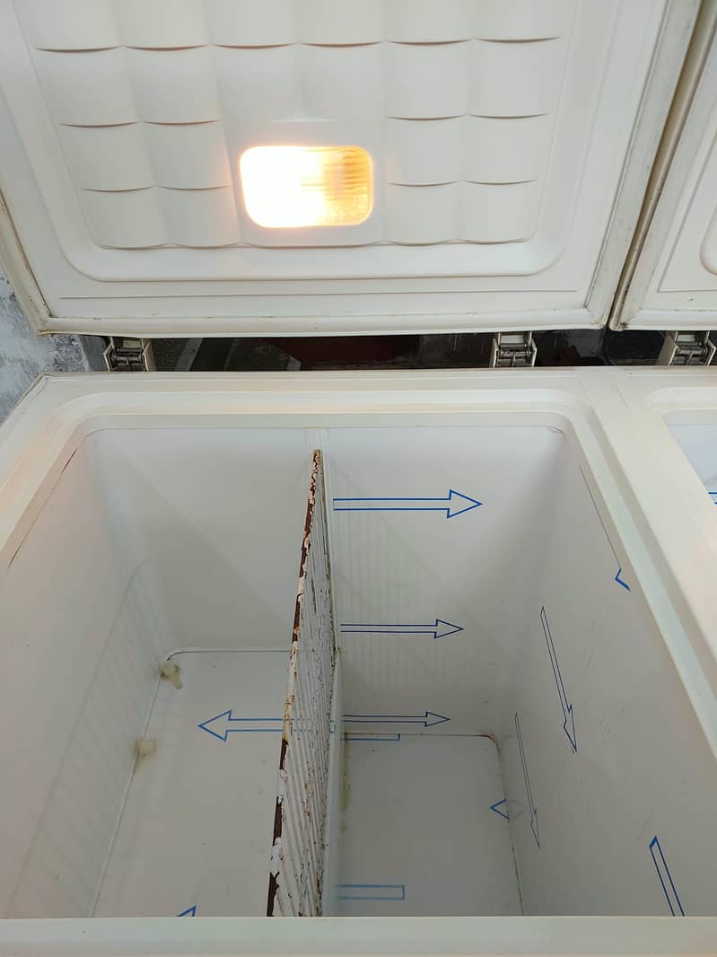 waves Triplett deep freezer 2