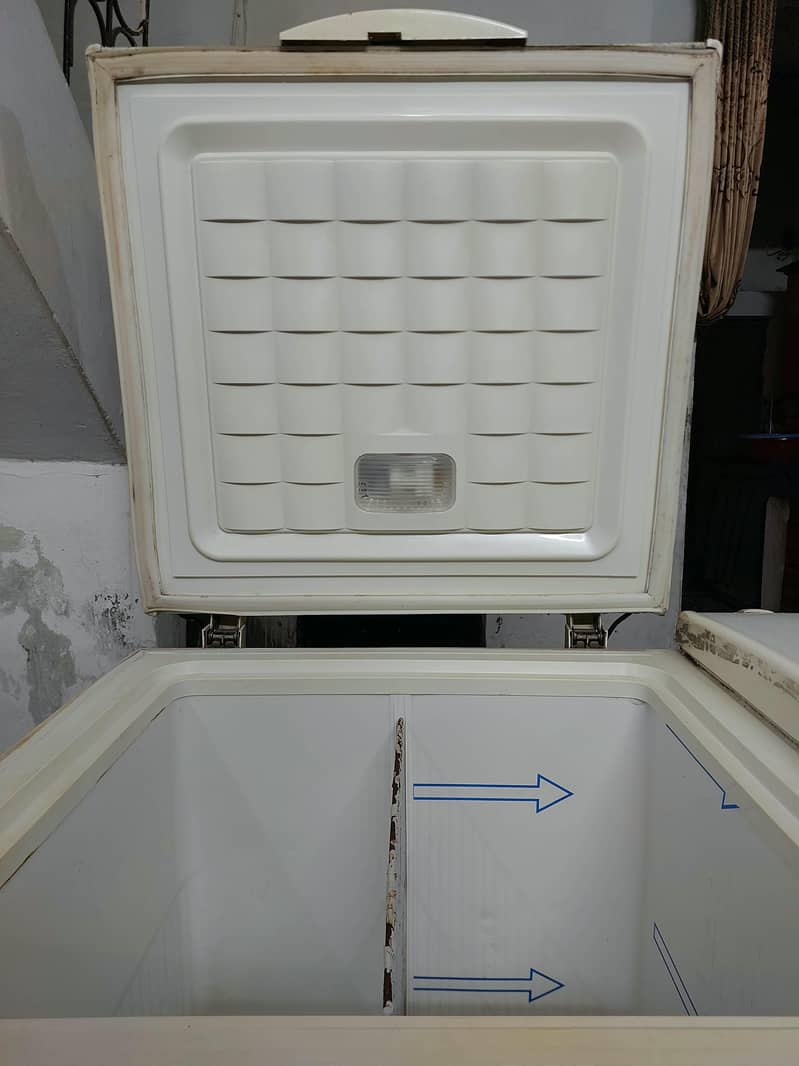 waves Triplett deep freezer 8