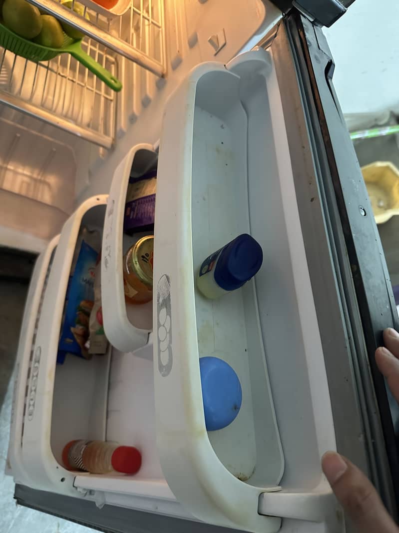 Orient Freezers 6