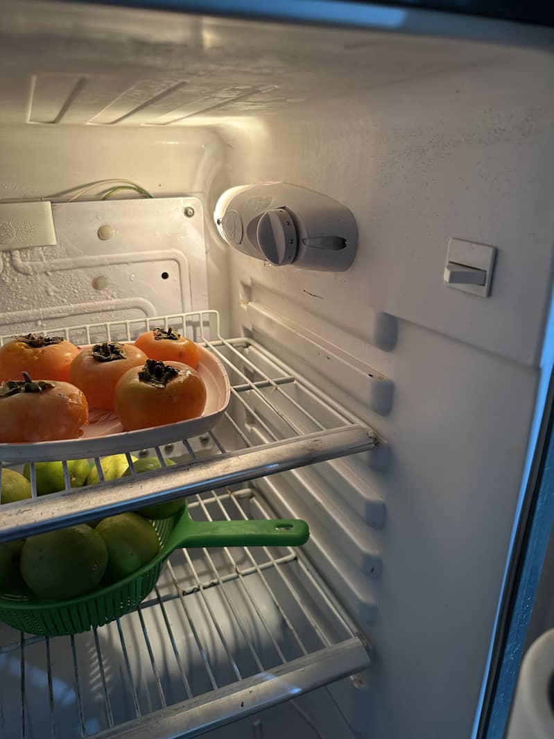 Orient Freezers 7