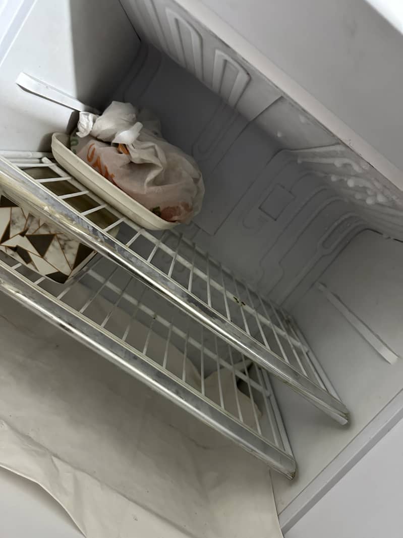 Orient Freezers 10