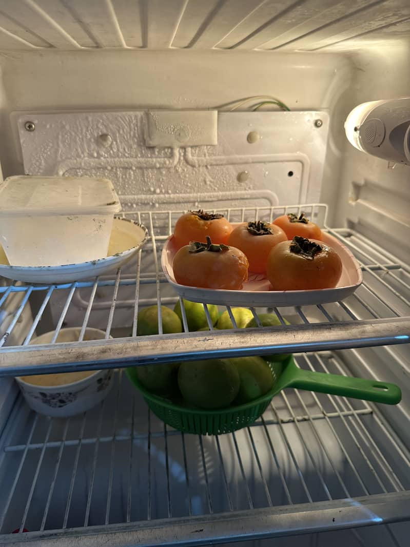 Orient Freezers 11