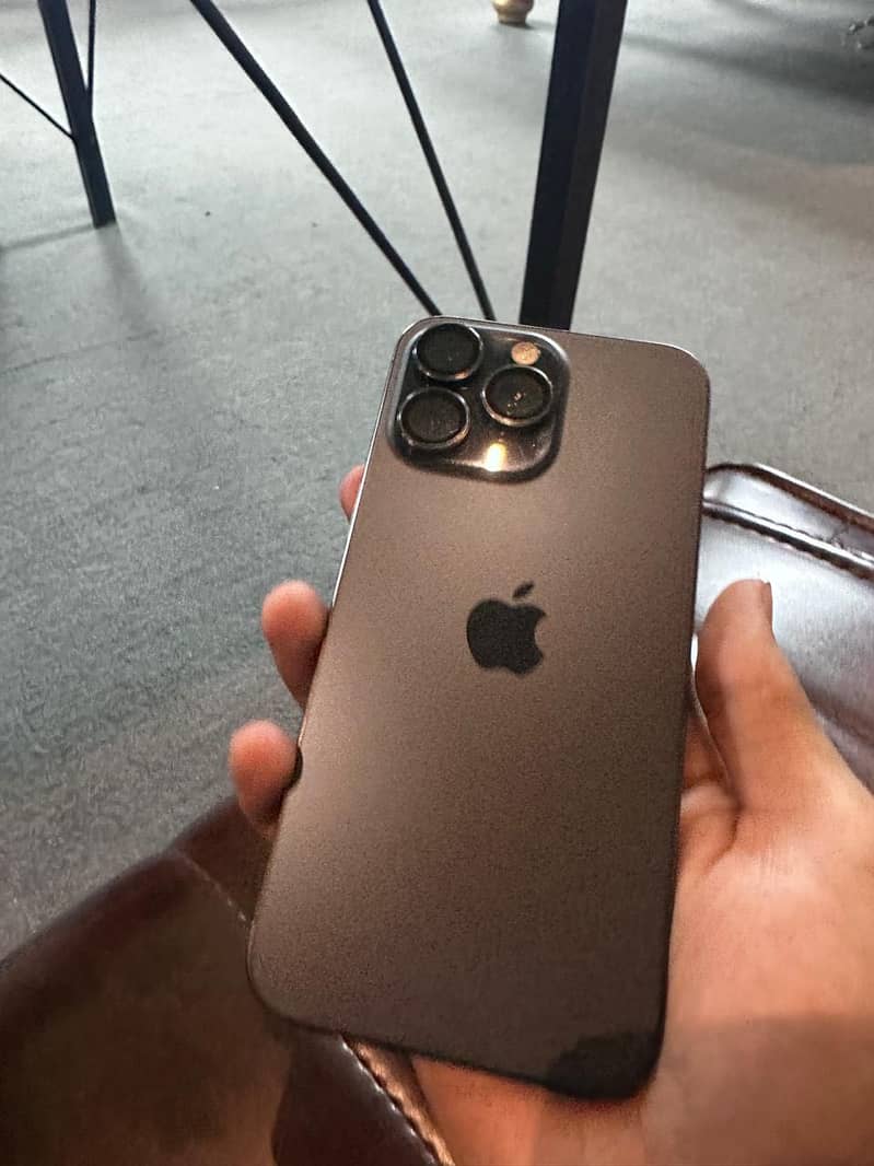 Apple iPhone 15 Pro Max 13