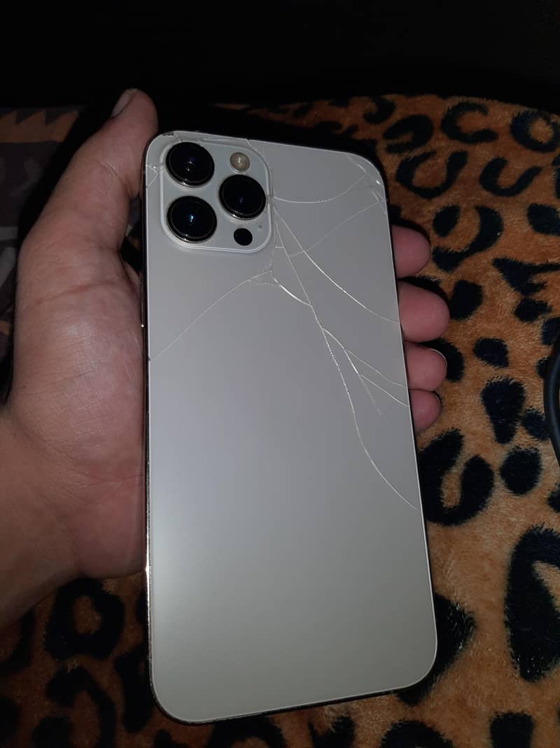 Apple iPhone 12 Pro Max 1