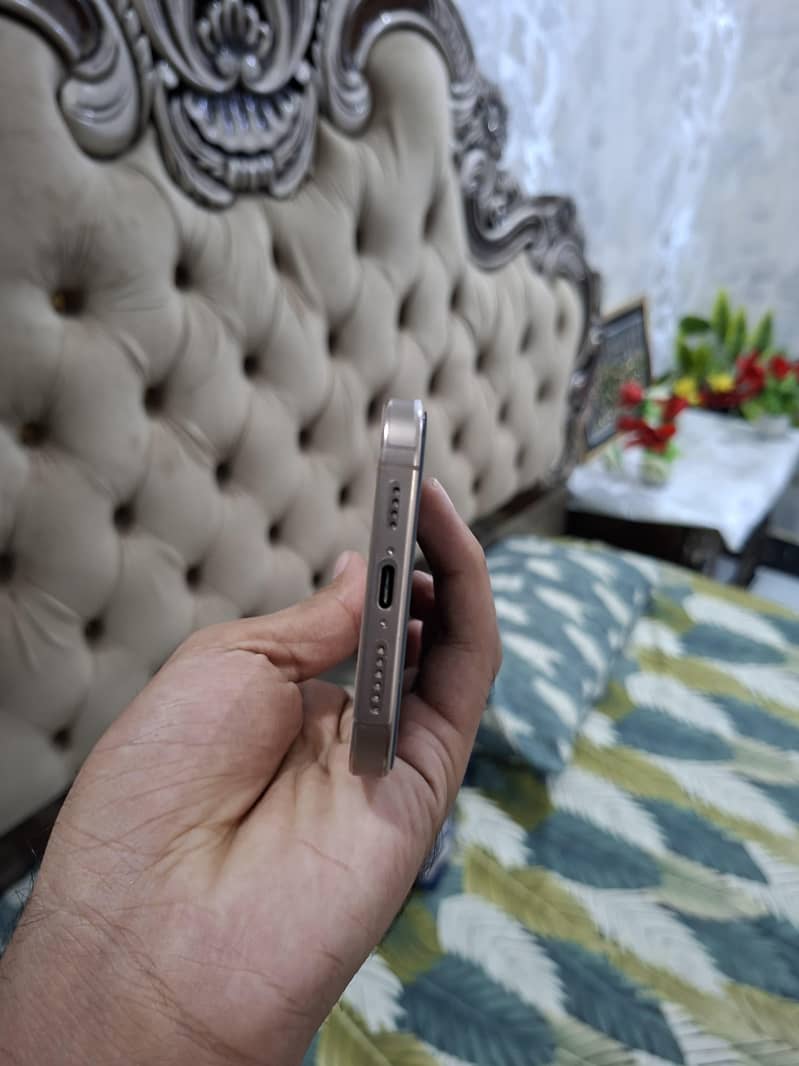 Apple iPhone 16 Pro Max 1