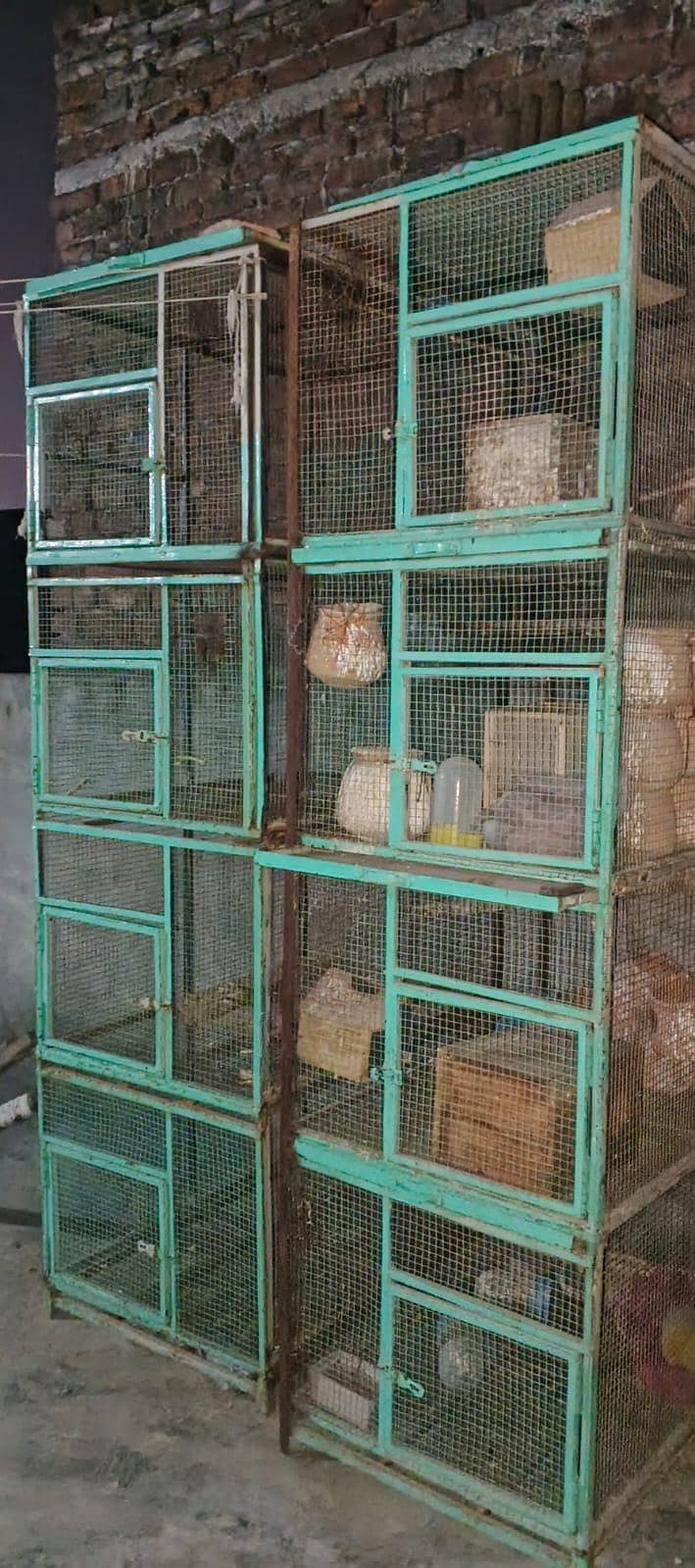 cages 1