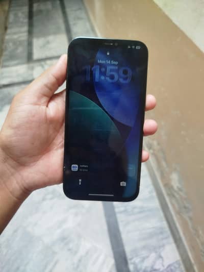 Apple iPhone 12 Pro Max factory sim time available