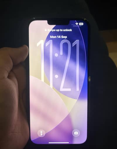 Apple iPhone 13 Pro Max
