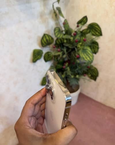 03067774088 cntct is py krynApple iPhone 14 Pro