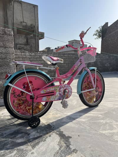 girls tricycle