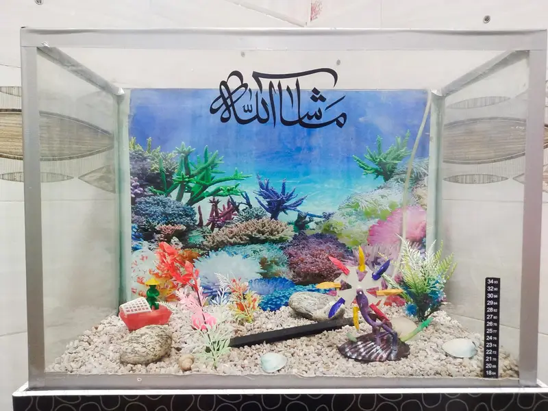 34 Inch Glass Aquarium with Decor