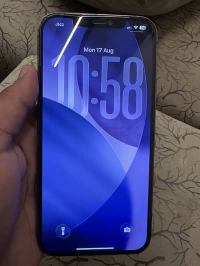 iPhone 12 Pro Max PTA approved