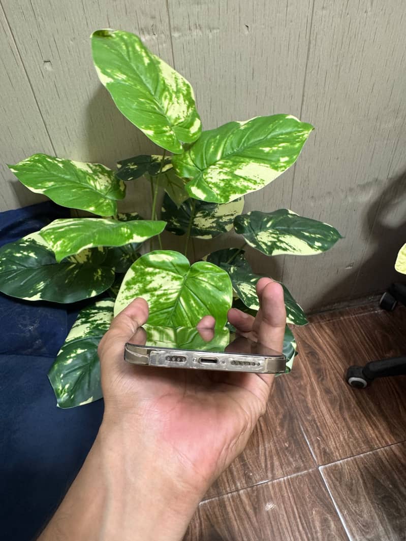 Apple iPhone 14 Pro Max 0