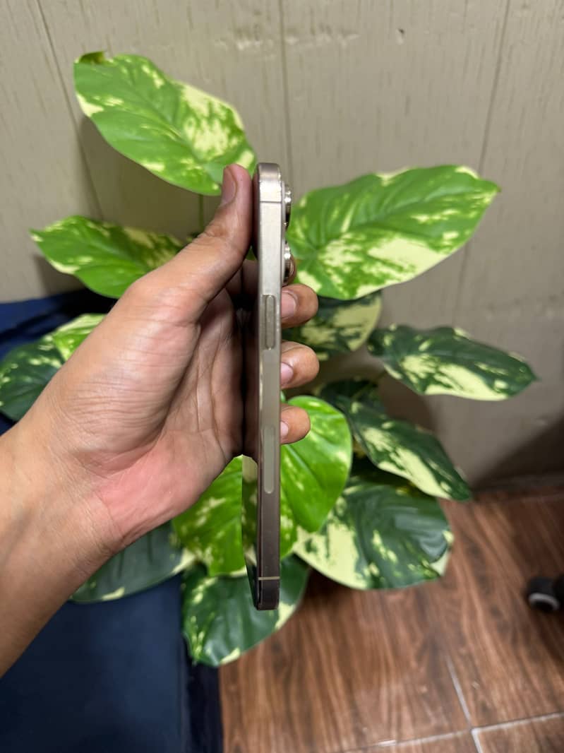 Apple iPhone 14 Pro Max 3