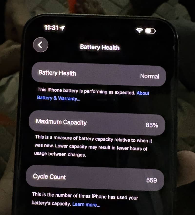 Apple iPhone 15 Pro Max 1