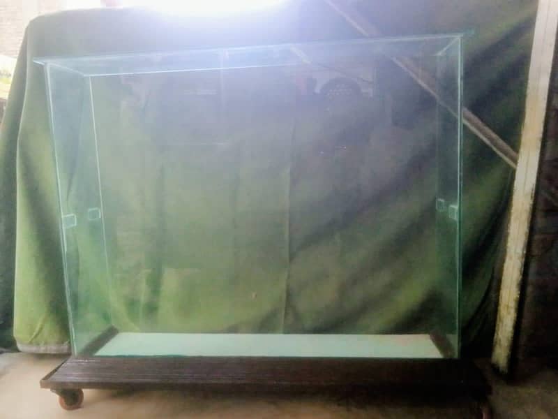 display showcase 0