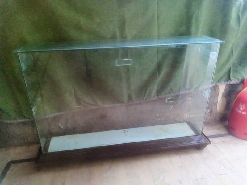 display showcase 1
