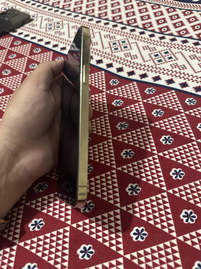 Apple iPhone 13 Pro Max 2