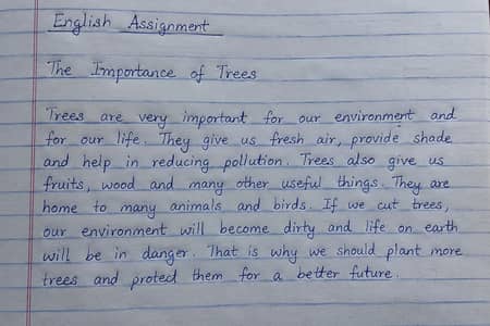 “Assignment Help | Formatting | Proofreading | Study Notes”