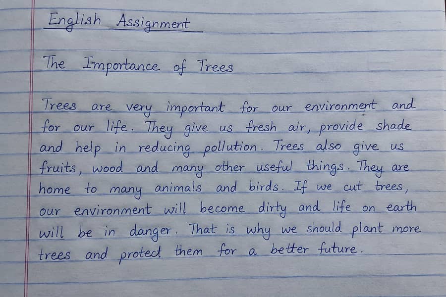 “Assignment Help | Formatting | Proofreading | Study Notes” 0
