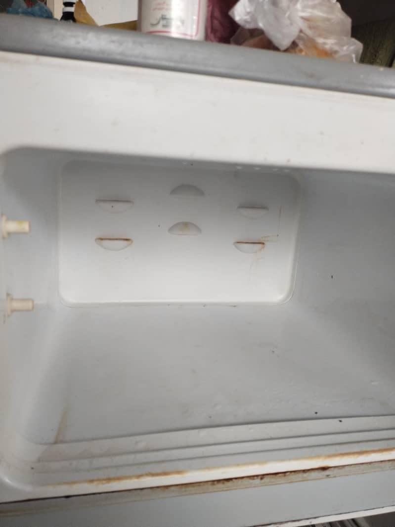 Medium Size fridge 2
