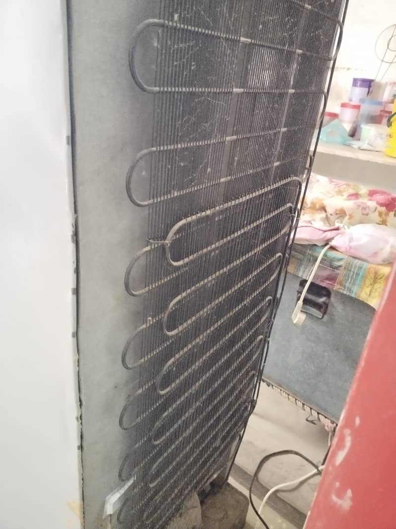 Medium Size fridge 5