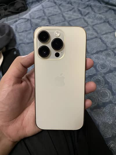 IPhone 14 Pro Pta approve