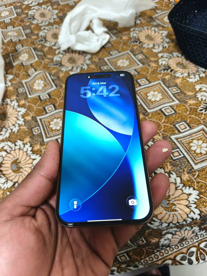 Apple iPhone 16 Pro Max 1