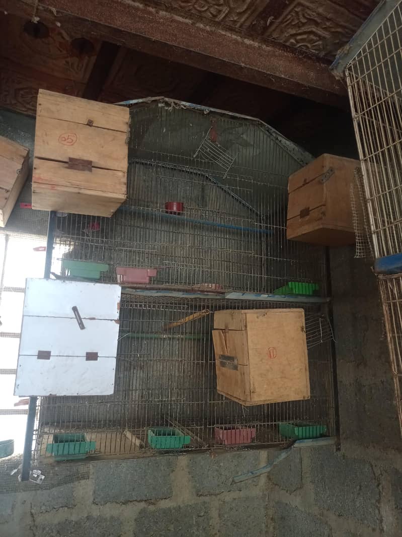 breeding cages 0