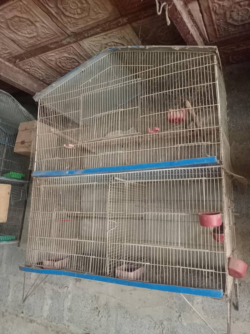 breeding cages 1