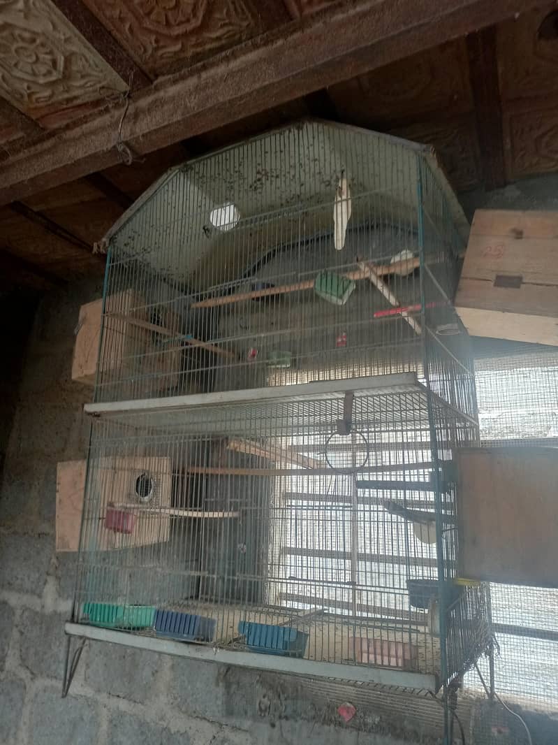 breeding cages 2
