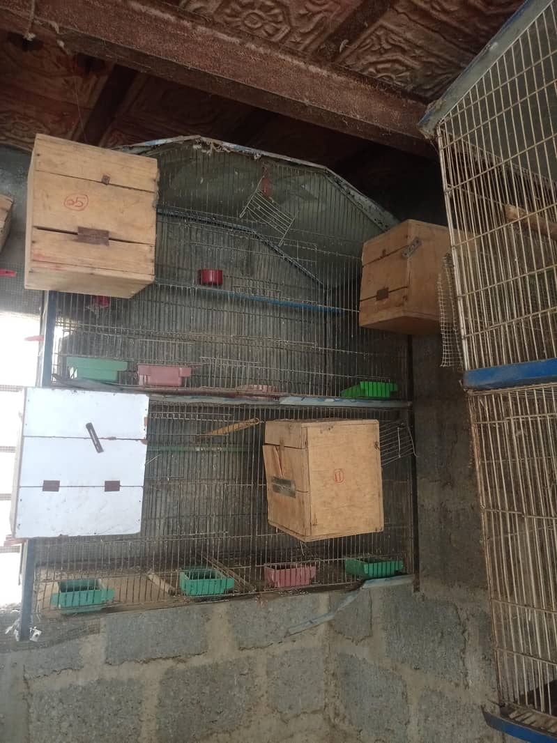 breeding cages 9