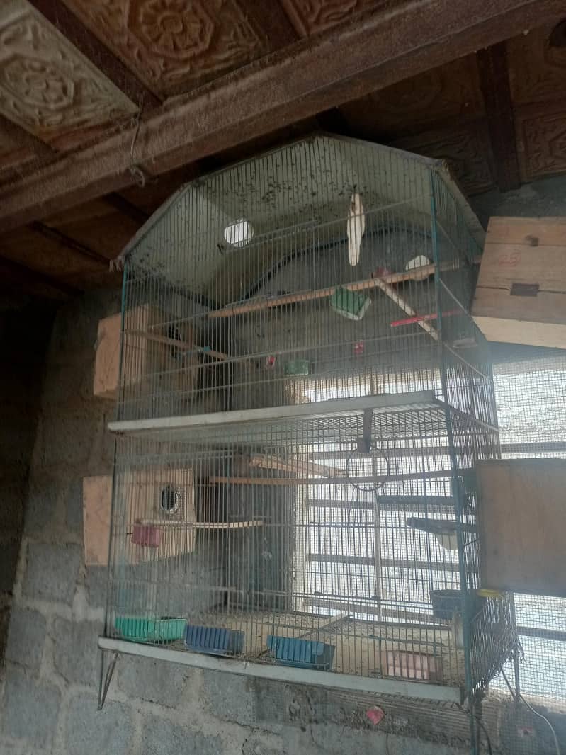 breeding cages 10