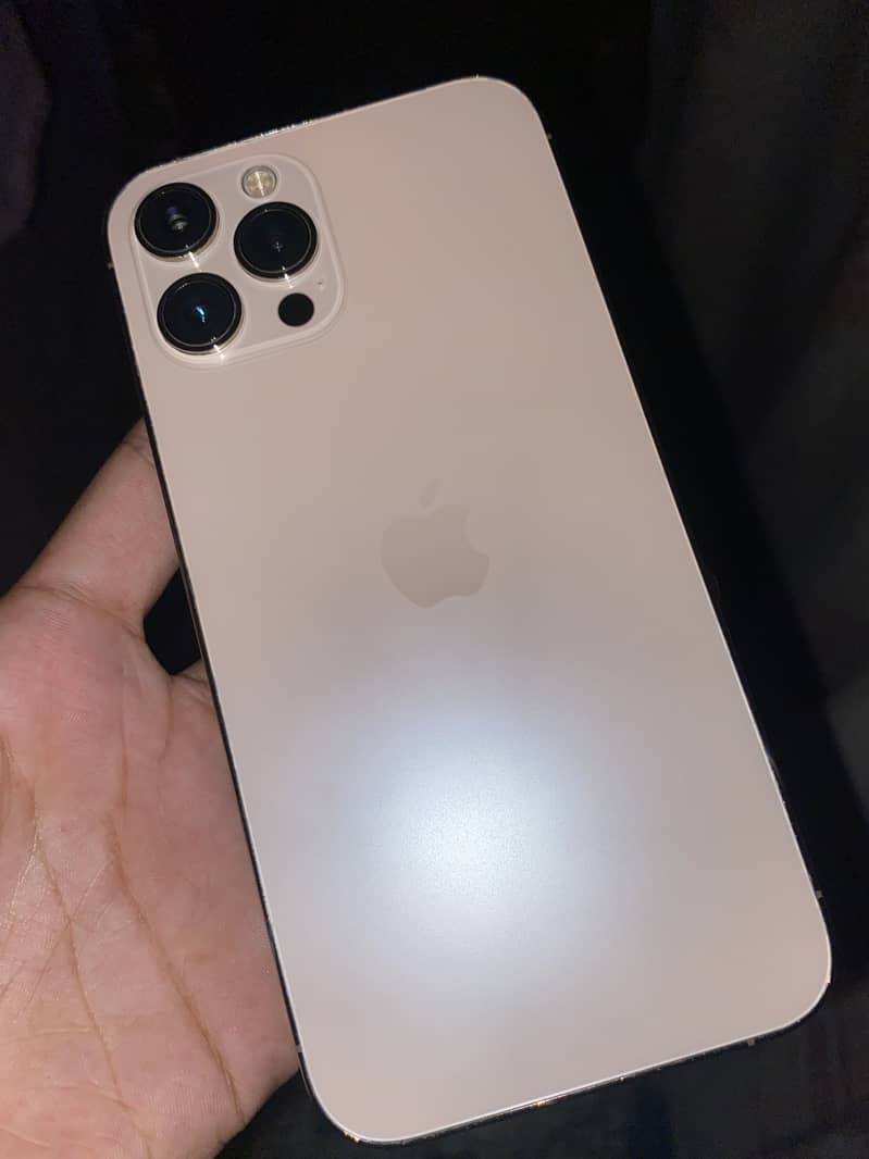 Apple iPhone 12 Pro Max 1