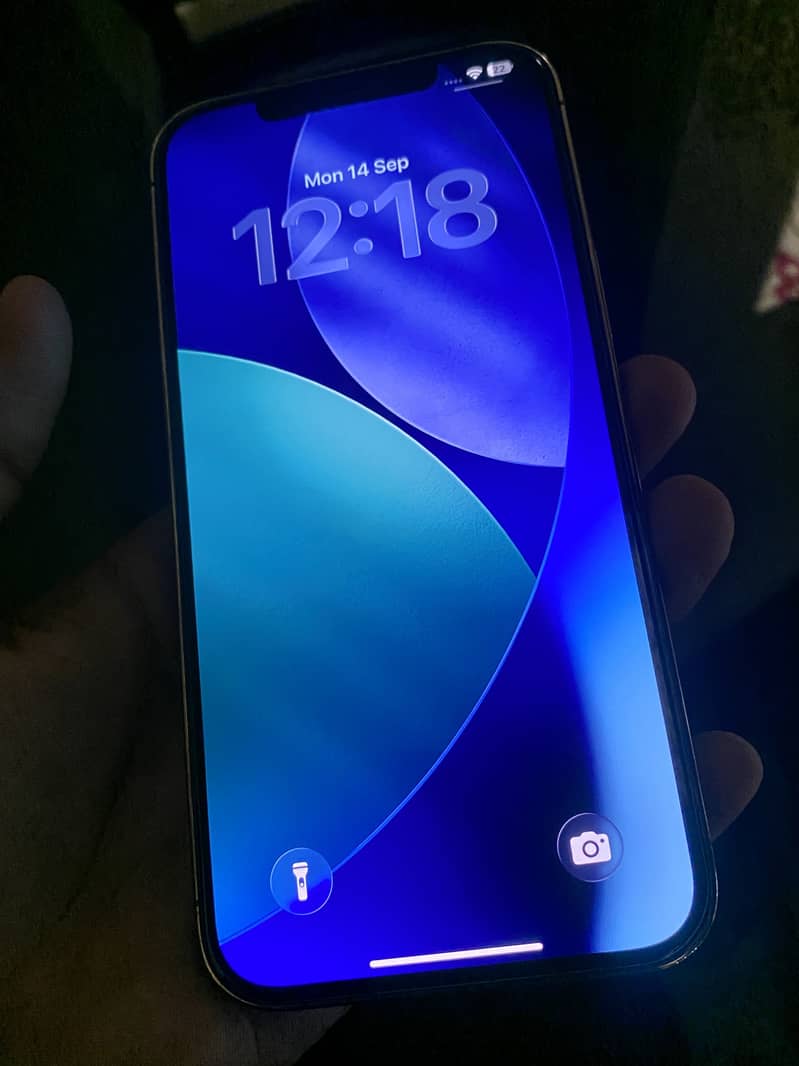 Apple iPhone 12 Pro Max 3