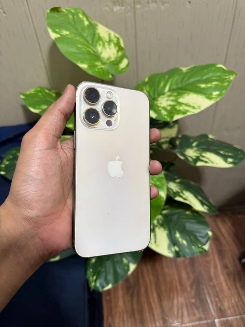 Apple iPhone 14 Pro Max 5