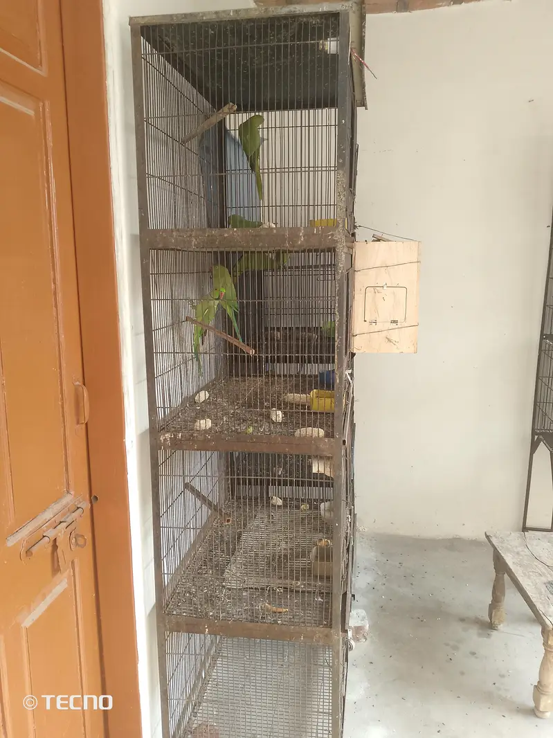 3, cage for sale  per cage final 7500 — photo 3