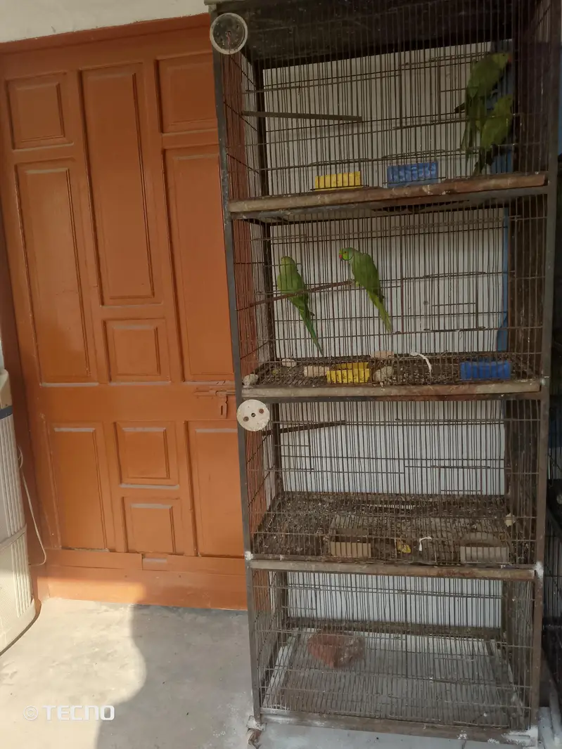 3, cage for sale  per cage final 7500 — photo 4