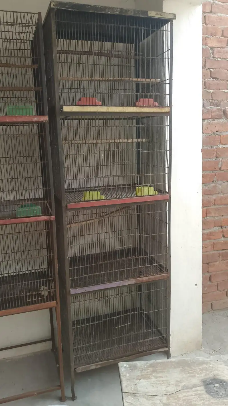 3, cage for sale  per cage final 7500 — photo 6