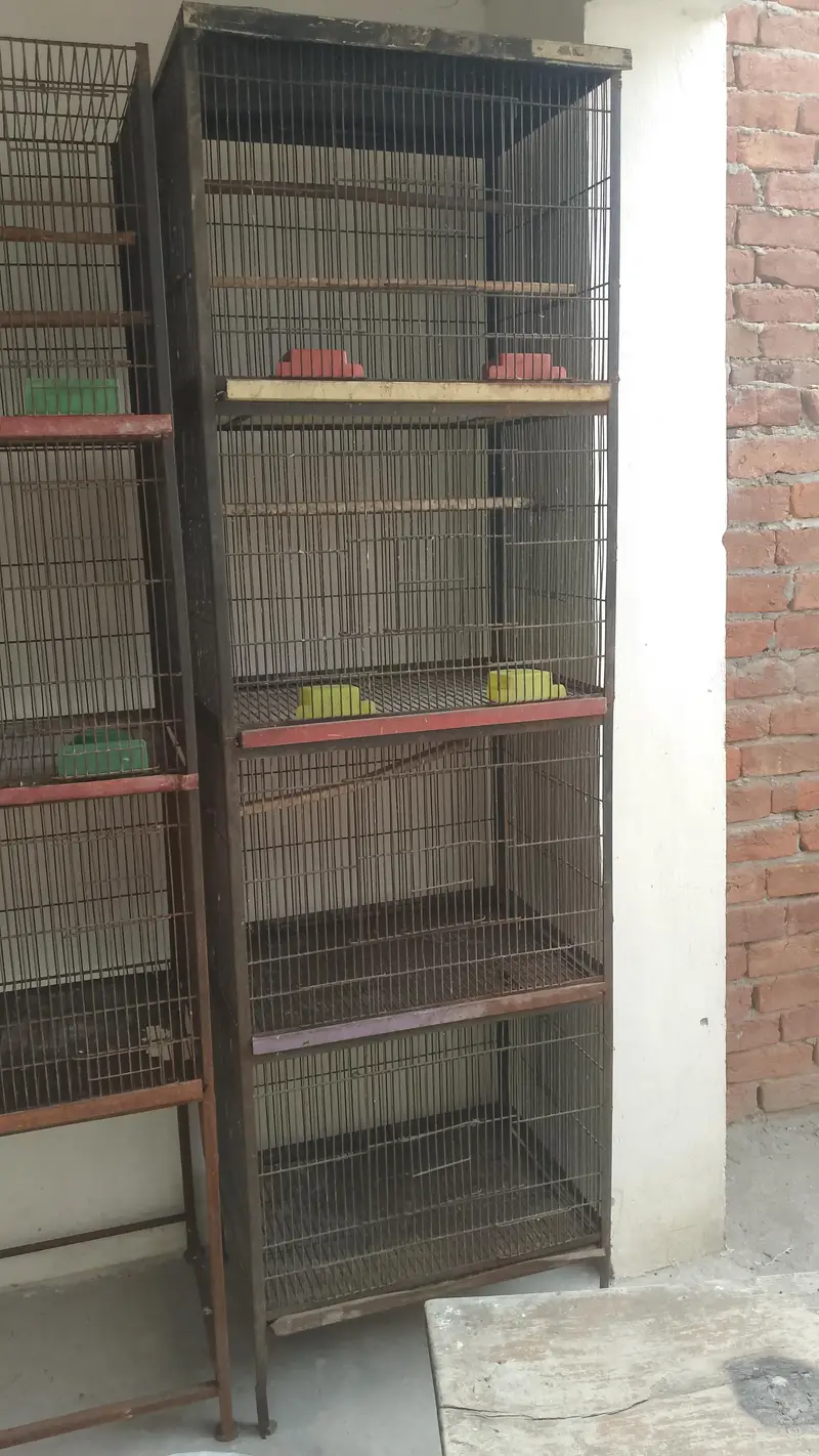 3, cage for sale  per cage final 7500 — photo 8